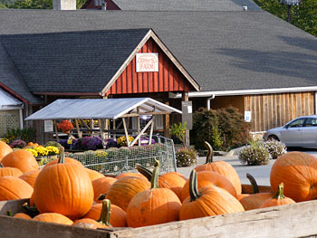 Pumpkins, produce, fresh turkeys, and baked goods at Weber's Cider Mill Farm in Parkville, Maryland, NE Baltimore. 